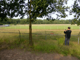 Miaomiao`s father making a photograph of a deer at the Nationaal Park Loonse en Drunense Duinen