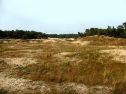 drunen_010 - 323 kb - 1024x768 - Dunes at the Nationaal Park Loonse en Drunense Duinen Dunes at the Nationaal Park Loonse en Drunense Duinen