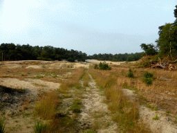 drunen_011 - 295 kb - 1024x768 - Cyclists at the dunes at the Nationaal Park Loonse en Drunense Duinen Cyclists at the dunes at the Nationaal Park Loonse en Drunense Duinen