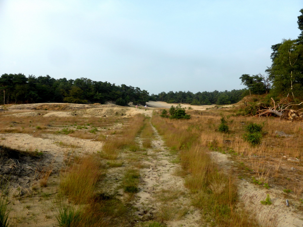 Cyclists at the dunes at the Nationaal Park Loonse en Drunense Duinen