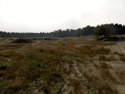 Miaomiao`s father in the dunes at the Nationaal Park Loonse en Drunense Duinen