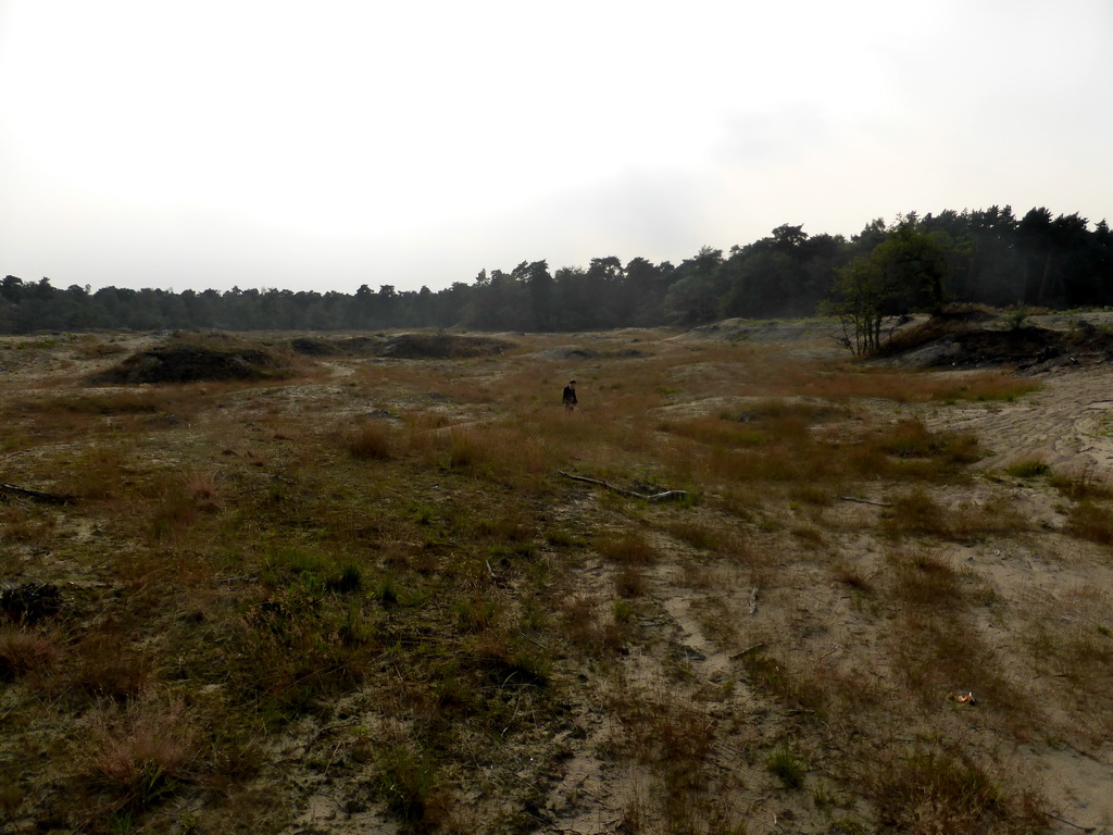 Miaomiao`s father in the dunes at the Nationaal Park Loonse en Drunense Duinen