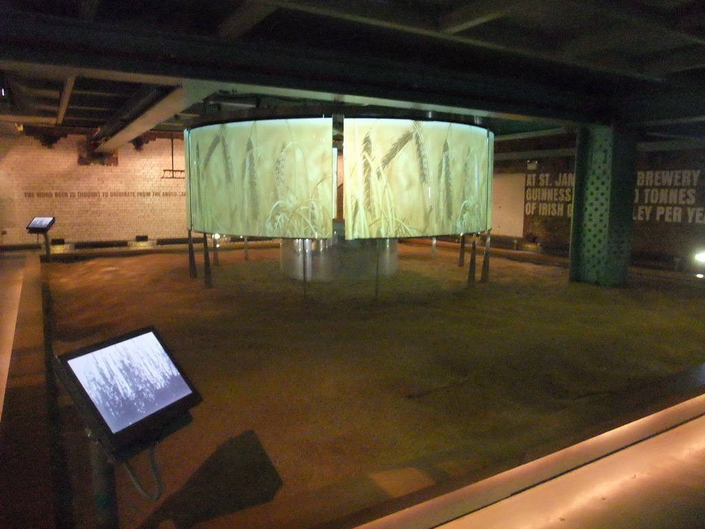 Exposition on barley at the lower floor of the Guinness Storehouse