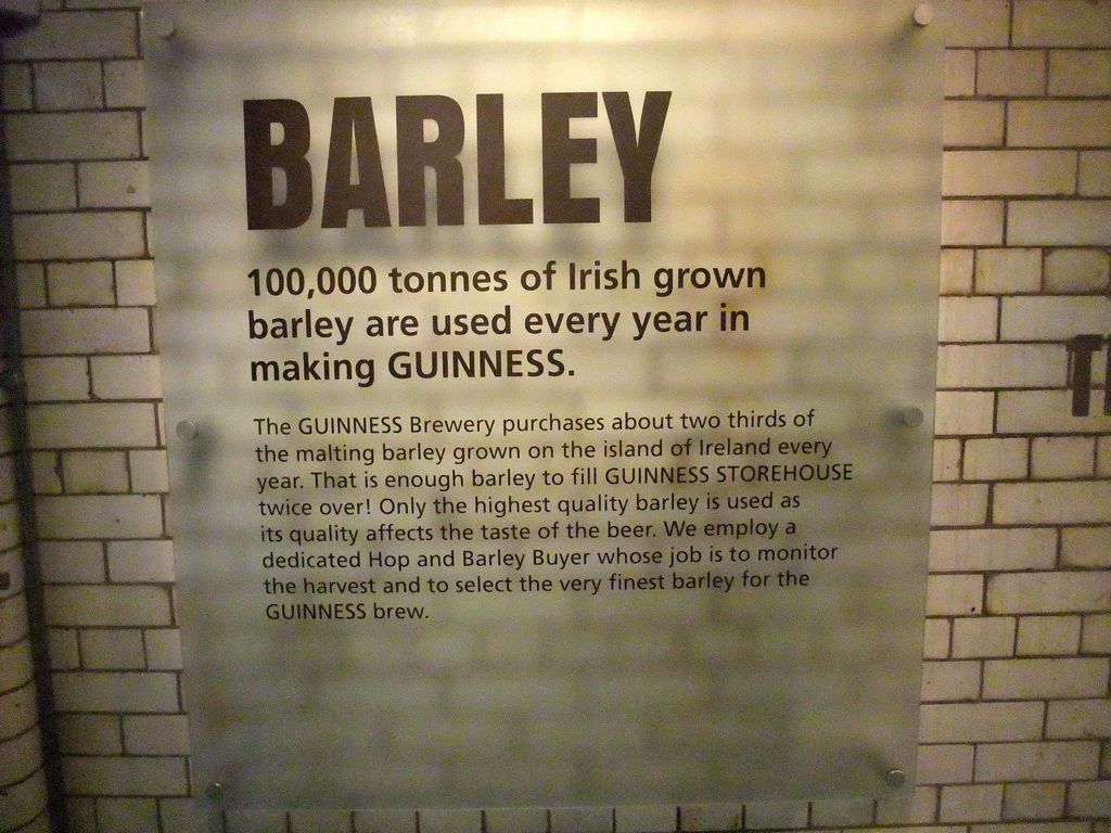 Explanation on barley at the lower floor of the Guinness Storehouse