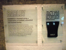 Explanation on barley at the lower floor of the Guinness Storehouse