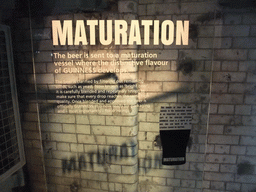 Explanation on maturation at the ground floor of the Guinness Storehouse