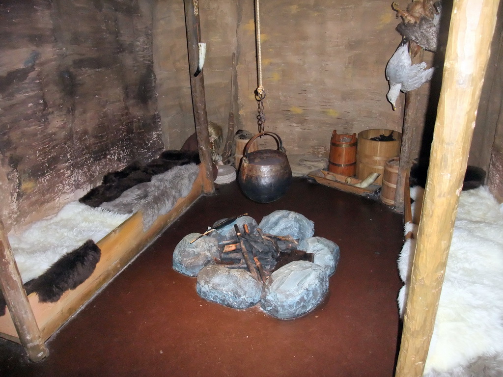 Viking house with beds and a campfire, and a wax statue, in Dublinia