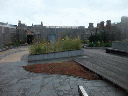 The roof terrace of the Chester Beatty Library