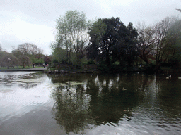 Pond at St. Stephen`s Green