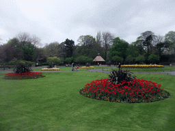 Grassland and flowers at St. Stephen`s Green