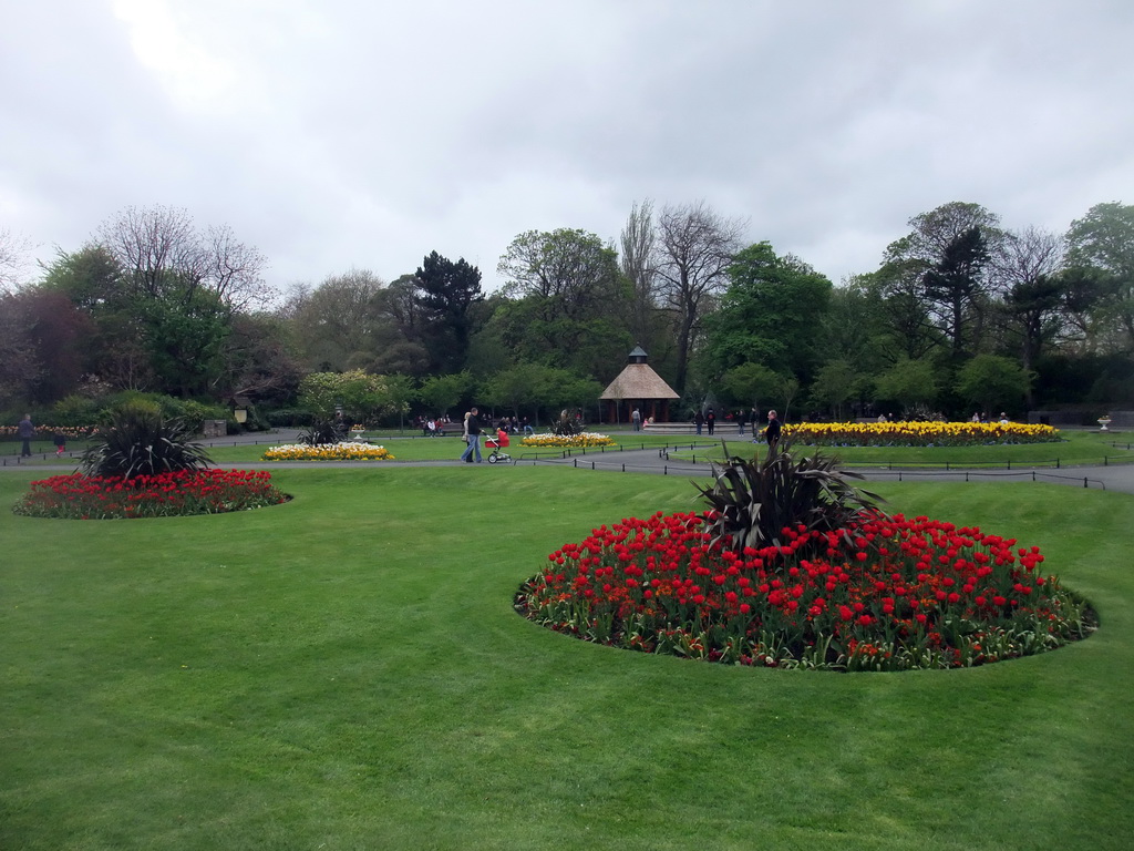 Grassland and flowers at St. Stephen`s Green