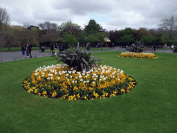 Grassland and flowers at St. Stephen`s Green