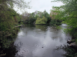 Pond at St. Stephen`s Green