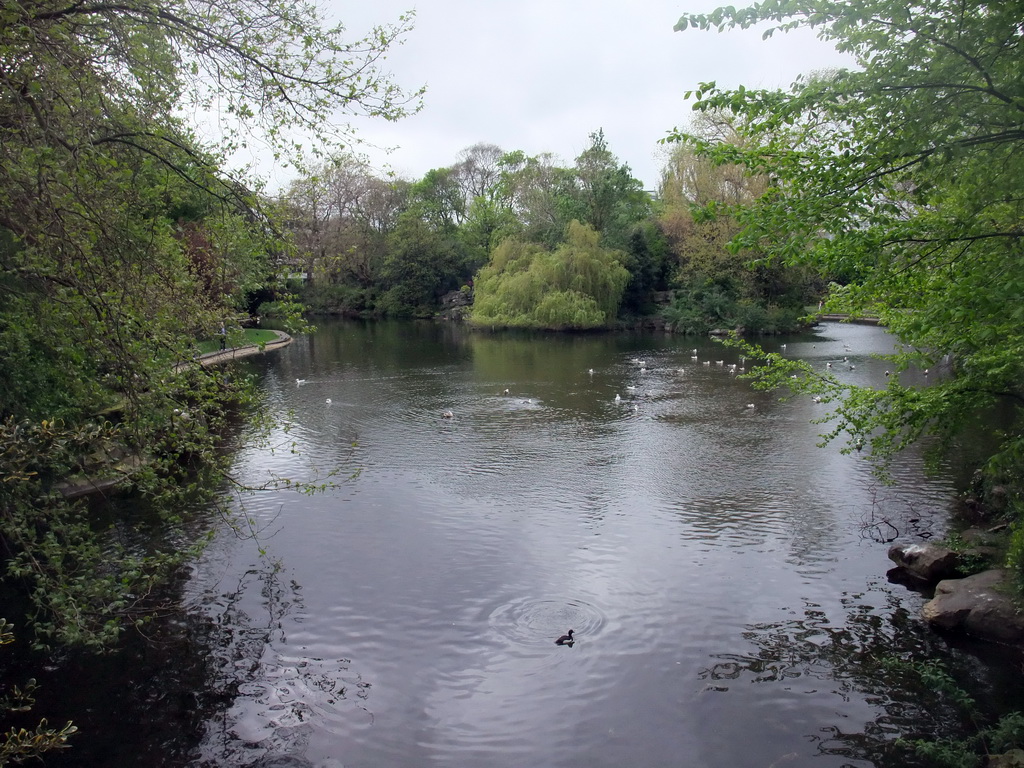 Pond at St. Stephen`s Green