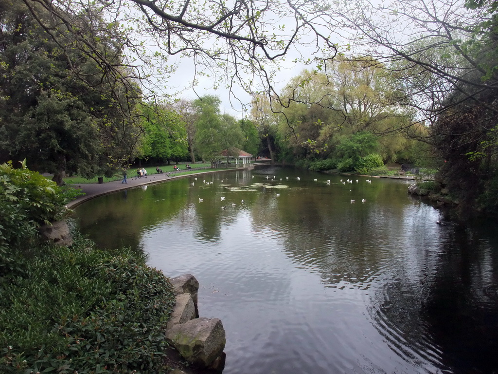 Pond at St. Stephen`s Green