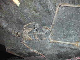 Skeleton inside the Gravedigger Ghost Tour bus
