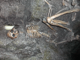 Skeleton inside the Gravedigger Ghost Tour bus