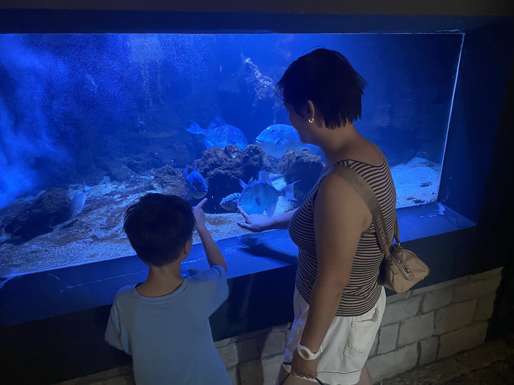 Miaomiao and Max with fishes at the Dubrovnik Aquarium