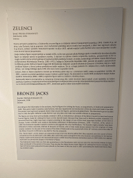 Information on the `Bronze Jacks` statues at the lower floor of the Rector`s Palace