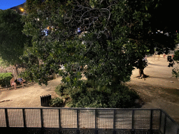 Playground just north of the Pile Gate, by night