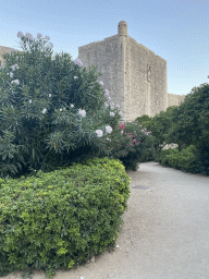 The Kula Puncjela fortress and the park just north of the Bokar Beach