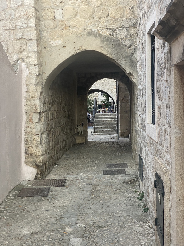 Cat in front of the entrance to the Ethnografic Museum Rupe at the Ulica od orte street