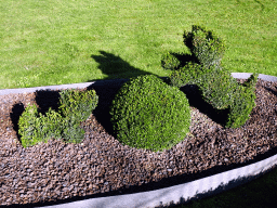 Dog topiaries at the southwest side of the Topiary Park