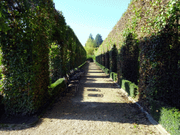 Lane at the west side of the terrace of the Topiary Park