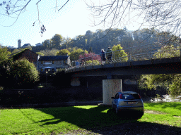 Pedestrian bridge over the Ourthe river at the west side of town, viewed from the parking place of the Topiary Park