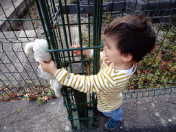 Max at the Derrière Clairval street