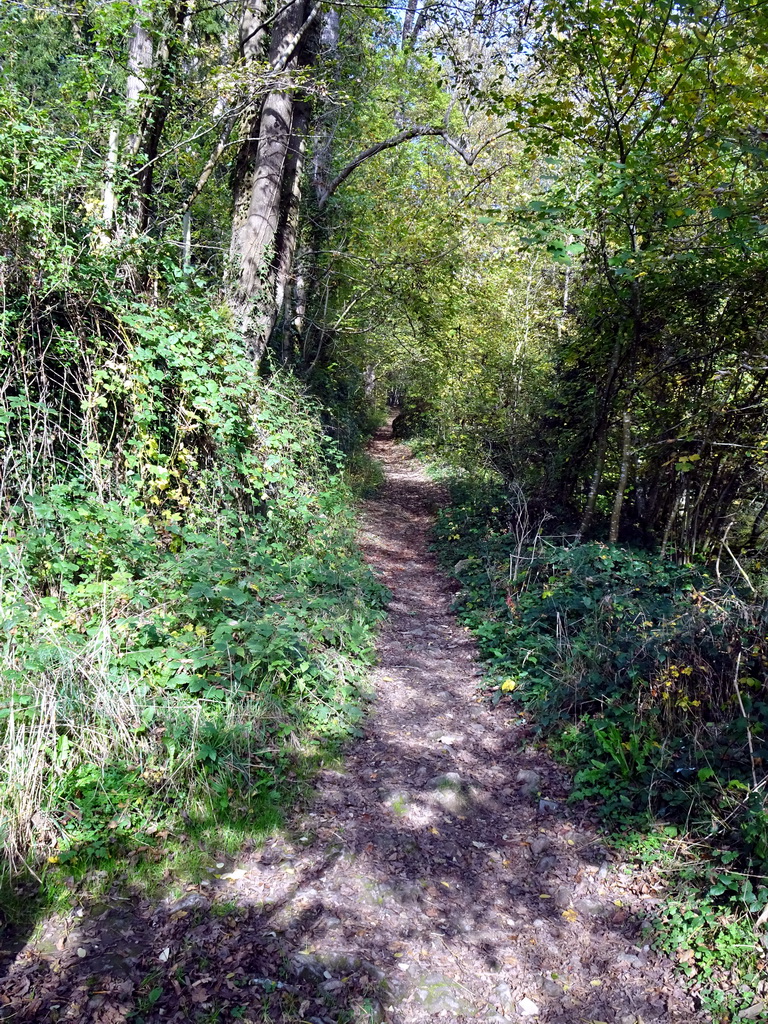 The path on top of the staircase next to the Rue Fond de Vedeur street