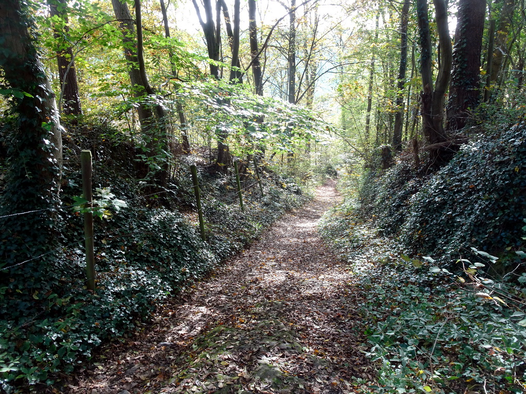 The path on top of the staircase next to the Rue Fond de Vedeur street