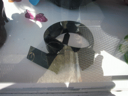 Belt in a shop window