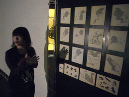Miaomiao and hand shadow puppetry, in the Filmmuseum Düsseldorf