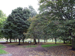 Small park at Dumbiedykes Road