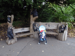 Max at a bench with chimpanzee statues at the entrance to the Budongo Trail at the Edinburgh Zoo