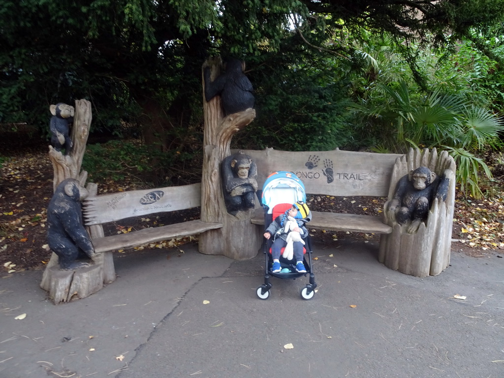 Max at a bench with chimpanzee statues at the entrance to the Budongo Trail at the Edinburgh Zoo