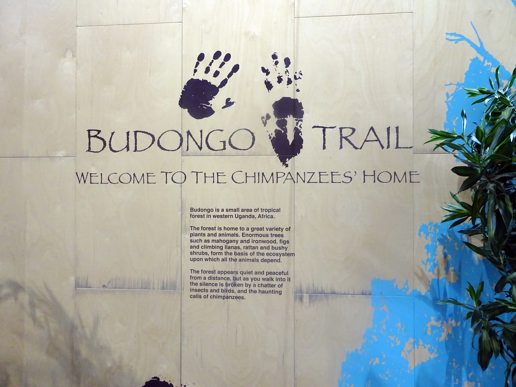 Information on the Budongo Trail at the Edinburgh Zoo