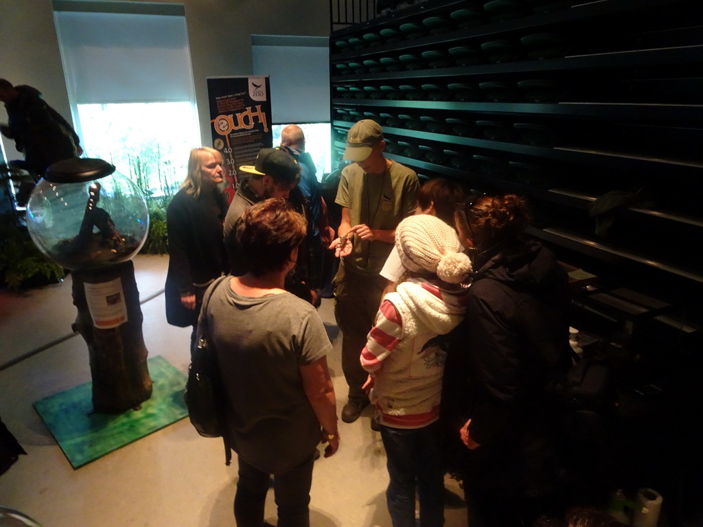 Visitors and a large insect at the Budongo Trail at the Edinburgh Zoo