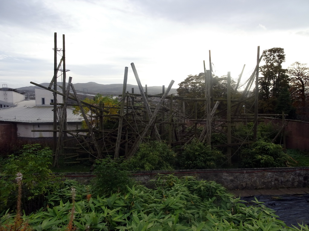 Outdoor enclosure of the Chimpanzees at the Budongo Trail at the Edinburgh Zoo