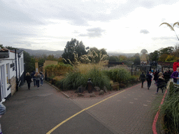 Northeast side of the Penguins Rock at the Edinburgh Zoo