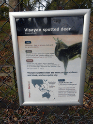 Explanation on the Visayan Spotted Deer at the Edinburgh Zoo