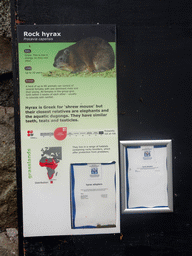 Explanation on the Rock Hyrax at the Edinburgh Zoo