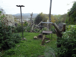 Outdoor enclosure of the Sun Bear at the Edinburgh Zoo