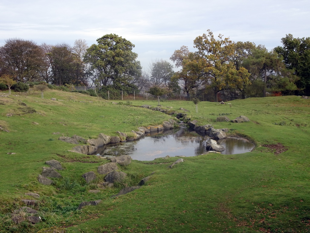 Creek at the Zebra and Antelope African Plains at the Edinburgh Zoo