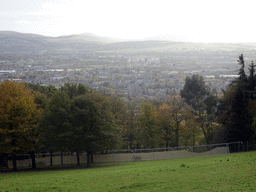 The Zebra and Antelope African Plains at the Edinburgh Zoo and a view on the west side of Edinburgh