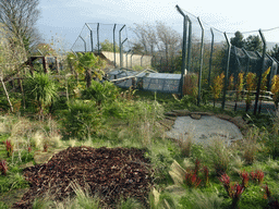 The Tiger Tracks enclosure at the Edinburgh Zoo
