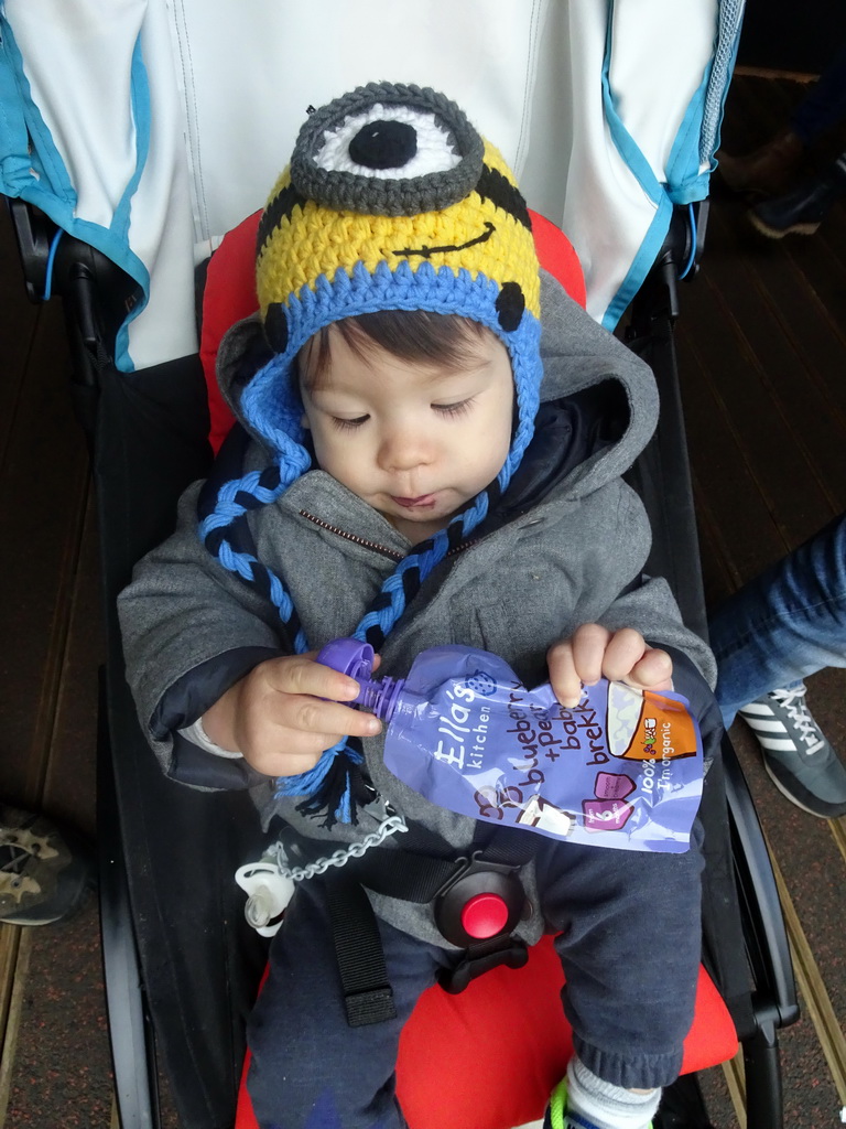 Max at the Giant Panda Exhibit at the Edinburgh Zoo