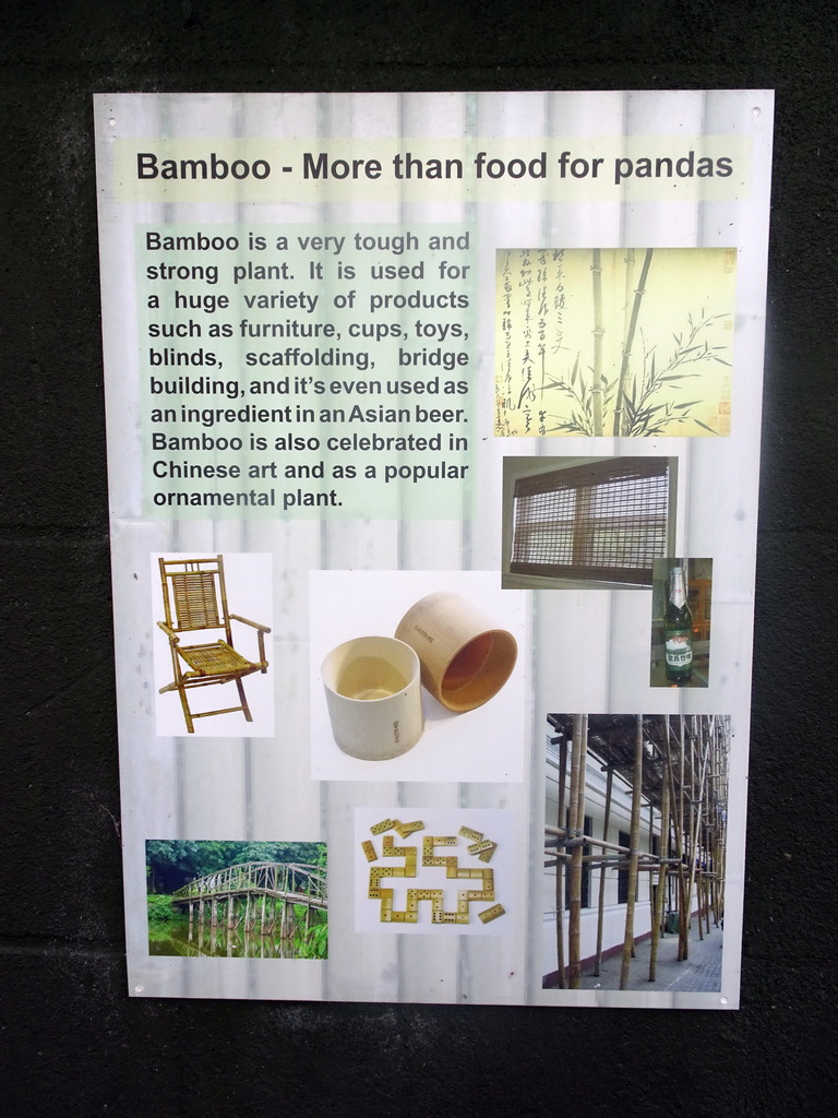 Information on bamboo at the Giant Panda Exhibit at the Edinburgh Zoo