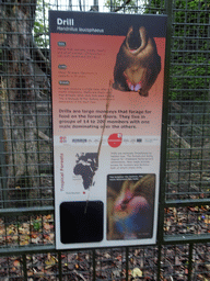 Explanation on the Drill at the Monkey House at the Edinburgh Zoo